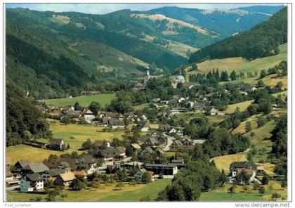 Allemagne - Munstertal mit blick nach Kloster