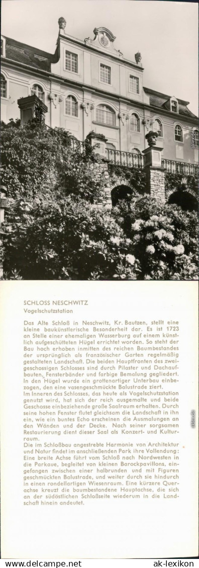 Ansichtskarte Neschwitz Njeswačidło Schloss 1975