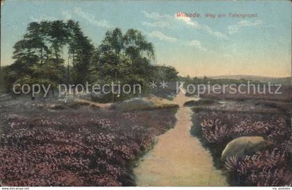 Wilsede Lueneburger Heide Lueneburger Heide Weg am Totengrund