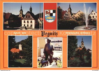 72530064 Pegnitz Denkmal Brunnen Kirche Pegnitz