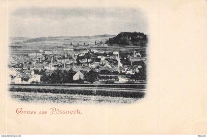 Gruss aus Pössneck - Panorama