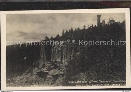 Schneeberg Erzgebirge Hoher Schneeberg Turm und Truemmerfeld