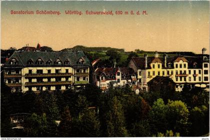 CPA AK Schomberg - Sanatorium Schomberg - Schwarzwald GERMANY (910412)