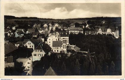 CPA AK Schomberg - Schomberg b. Wildbad - Panorama GERMANY (910413)