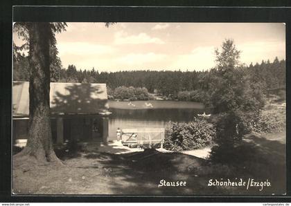 AK Schönheide /Erzgeb., Blick zum Stausee