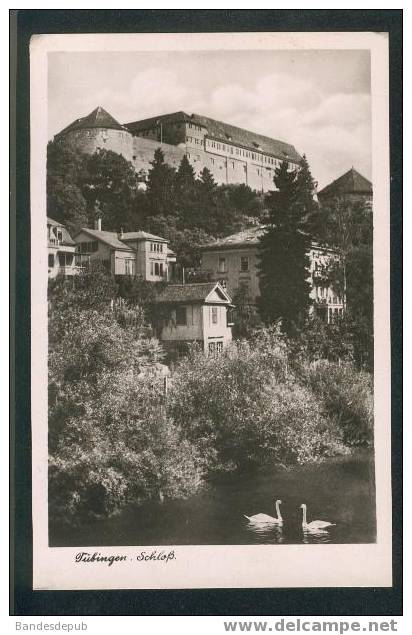 Tübingen - Schloss (Eduard Gauss)