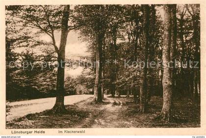 43231891 Lueneburger Heide Im Kleckerwald Lueneburger Heide