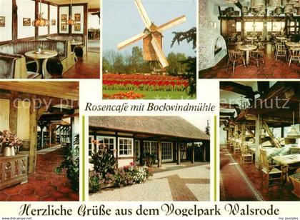 73131469 Walsrode Lueneburger Heide Vogelpark Rosencafe Bockwindmuehle Walsrode