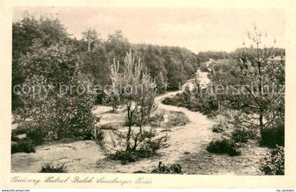 73690408 Lueneburger Heide Heideweg Huetzel Breloh Lueneburger Heide