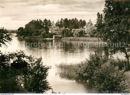 73596462 Zechlinerhuette Uferpartie am Schlabornsee Zechlinerhuette