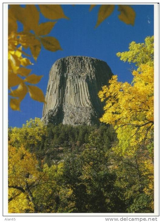 Devil's Tower WY Wyoming, National Monument, Geology, c1980s/90s Vintage Postcard