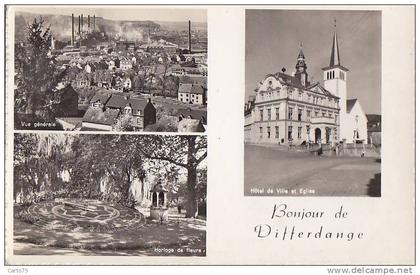 Luxembourg - Bonjour de Differdange - Usines - Mairie - Jardin