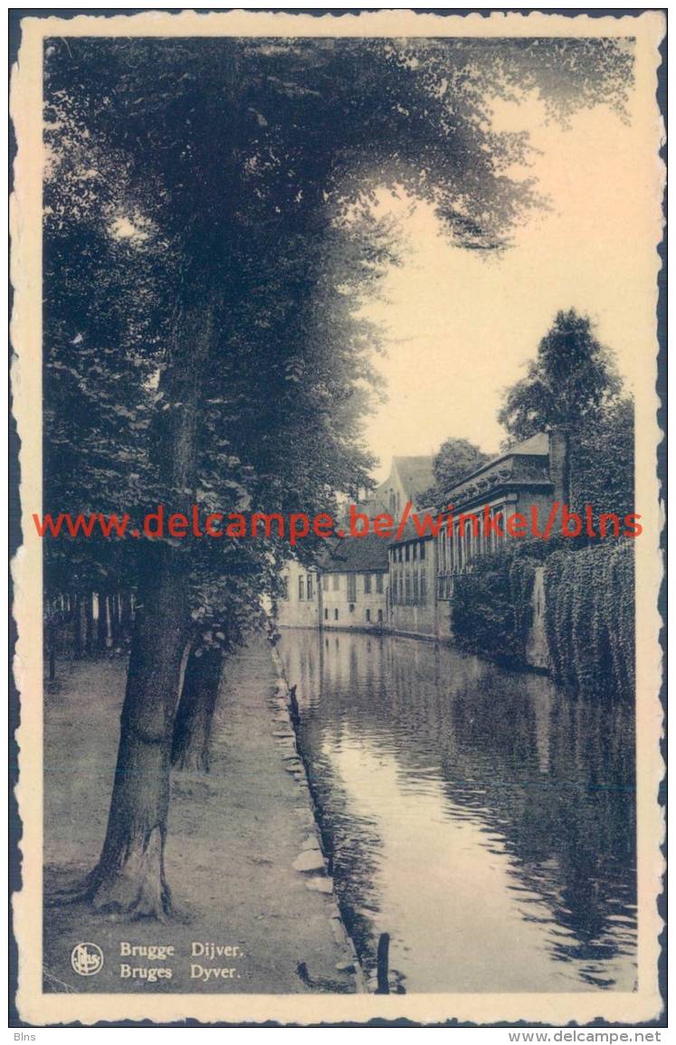 Dijver Brugge - Nels