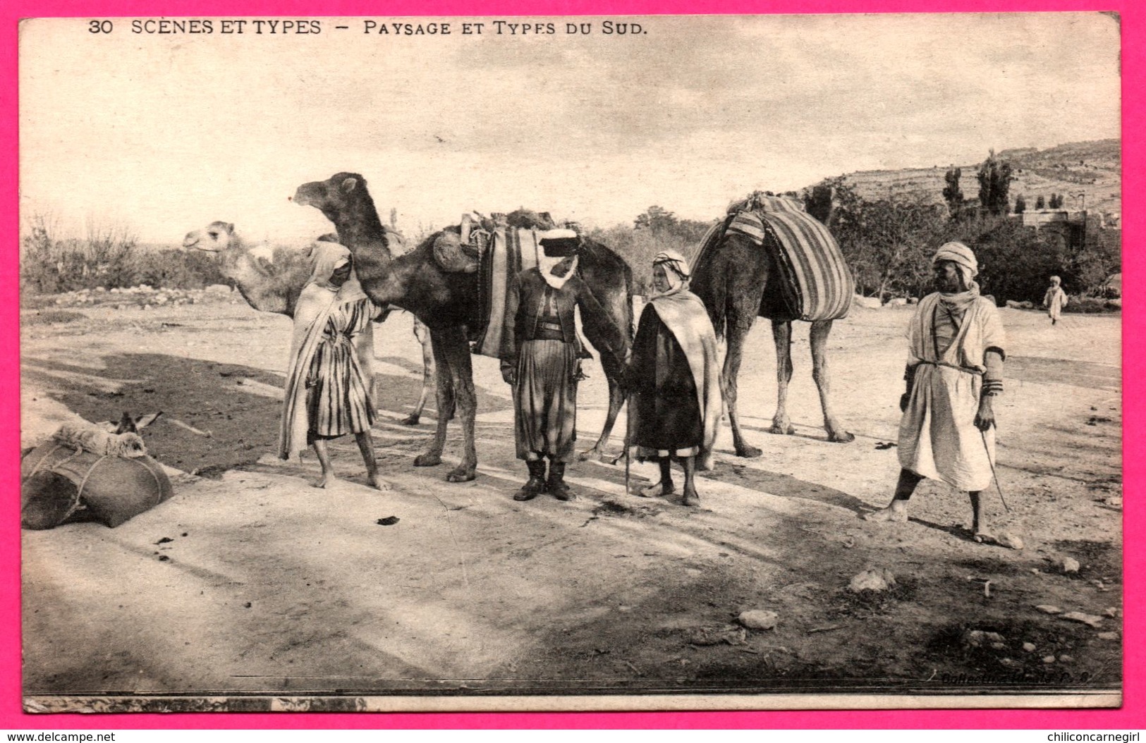 Djeniene - Scènes et Types - Paysage et Types du Sud - Dromadaire - Animée