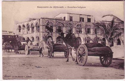 DJIBOUTI Chameliers indigenes