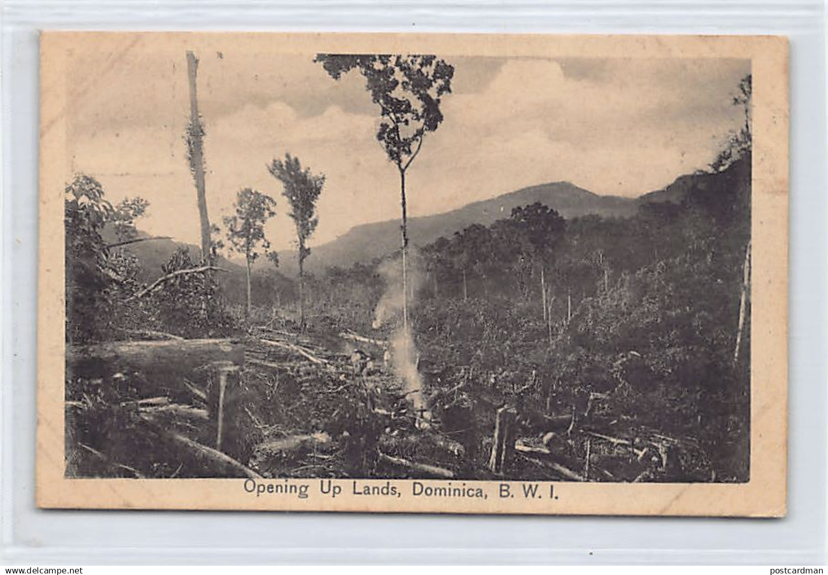 DOMINICA - Opening Up Lands - Publ. Geo. E. Pinard Photo Series C. G. Phillip