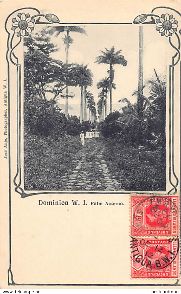 DOMINICA - Palm Avenue - Publ. José Anjo