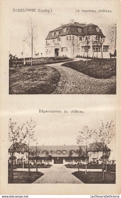 LUXEMBOURG - Dudelange - le nouveau - dépendances - château - maison de gros P Houstraas - Carte Postale Ancienne