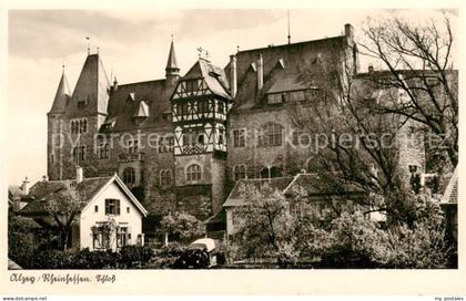 73790195 Alzey Schloss Alzey