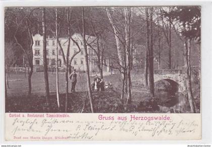 39024696 - Herzogswalde. Curbad und Restaurant Taennichtmuehle gelaufen am 29.7.1902. Knicke an den Ecke n. Flecken Rue