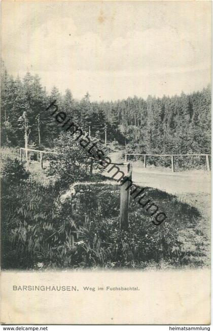 Barsinghausen - Weg im Fuchsbachtal - Verlag August Brandes Barsinghausen - gel. 1909