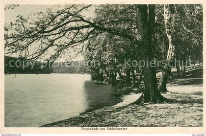 73623403 Zehlendorf Berlin Promenade am Schlachtensee Zehlendorf Berlin