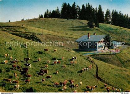 73081766 Bernau Schwarzwald Almhuette zum Krunkel Bach Kuehe Bernau Schwarzwald