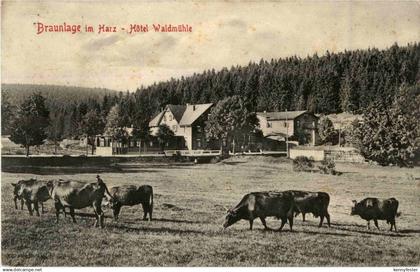 Braunlage - Hotel Waldmühle