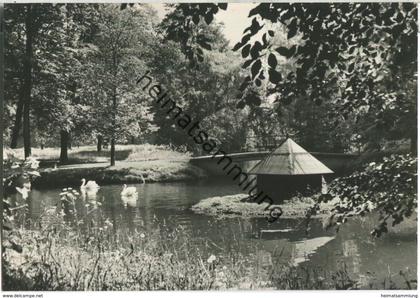 Berlin-Buch - Schloßpark - Foto-Ansichtskarte - Verlag H. Sander Berlin