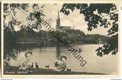 Chemnitz - Schlossteich - Foto-Ansichtskarte - Verlag Erhard Neubert Chemnitz