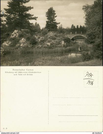 Ansichtskarte Dahlem-Berlin Botanischer Garten, Brücke 1928