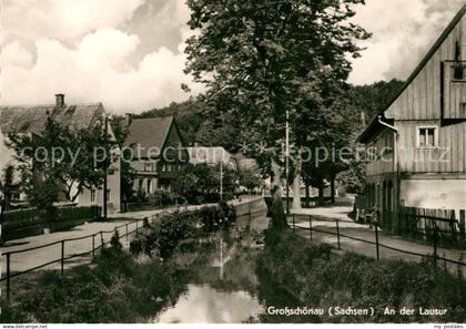 73033602 Grossschoenau Sachsen Lausur Grossschoenau Sachsen