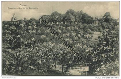 Guben - Engelmanns Berg in der Baumblüte - Verlag Julius Rothe Guben