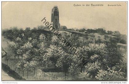 Guben in der Baumblüte - Bismarck-Turm - Verlag Julius Rothe Guben