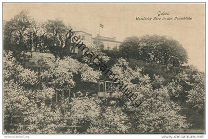 Guben - Kaminsky Berg in der Baumblüte - Verlag Julius Rothe Guben