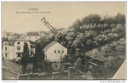 Guben - Kaminsky Berg in der Baumblüte - Verlag Julius Rothe Guben