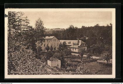 AK Herzogswalde i. Sa., Genesungsheim Tannichtmühle