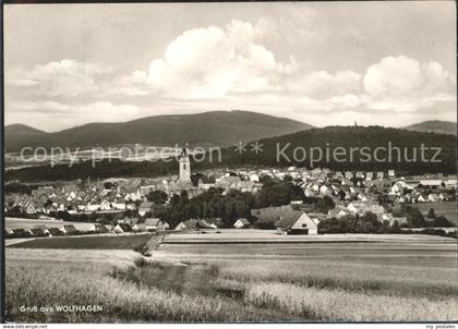 Wolfhagen Panorama