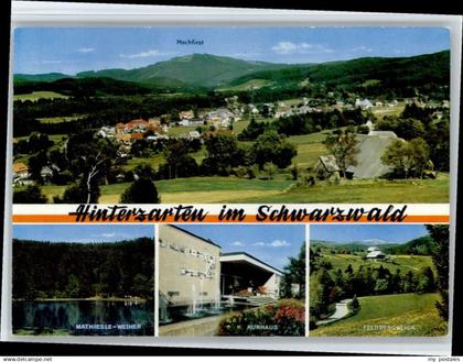 70698517 Hinterzarten Hinterzarten  *