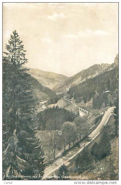 Das Höllental mit Rayonnabrücke (Schwarzwald)