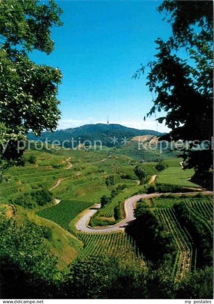 Kaiserstuhl Region Totenkopf