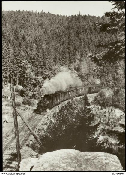 Jöhstadt (Erzgebirge) Schmalspurbahn Wolkenstein-Jöhstadt vor Schlössel  1982