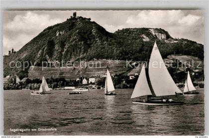 42763890 Drachenfels Segelregatta am Drachenfels