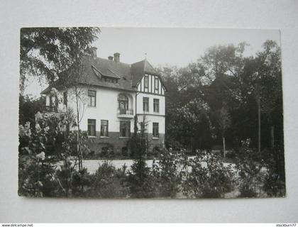 LÜBTHEEN , Fotokarte  (Fotograf : R.Pfähler aus Lübtheen),   Schöne   Karte   ,               2 Abbildungen