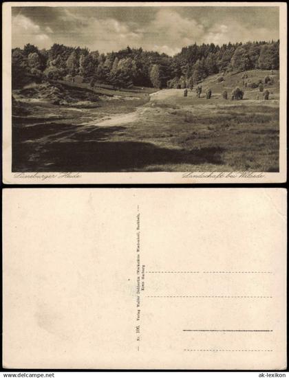 Ansichtskarte .Niedersachsen Lüneburger Heide Landschaft bei Wilsede 1928