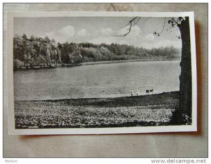 Waldsee - Probst-Jesar - Lübtheen Meckl.   D104274