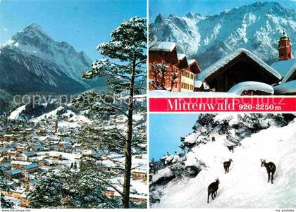 72628429 Mittenwald Bayern Wettersteinspitze Tier  Mittenwald