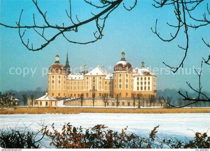 73026164 Moritzburg Sachsen Barockmuseum Schloss Moritzburg