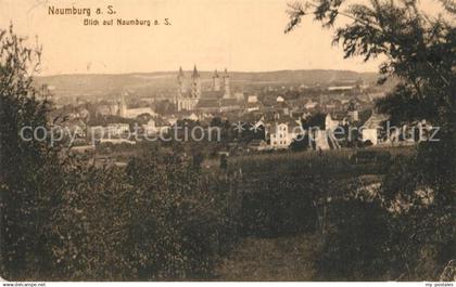 43222925 Naumburg Saale Panorama Naumburg Saale