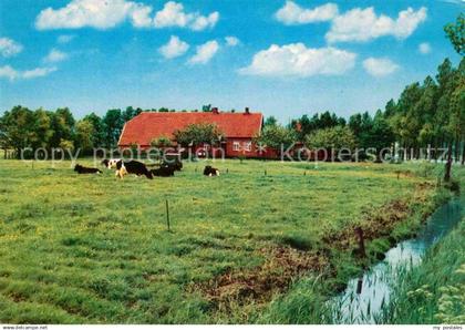 72911848 Friesland Emden Landhaus  Friesland Emden